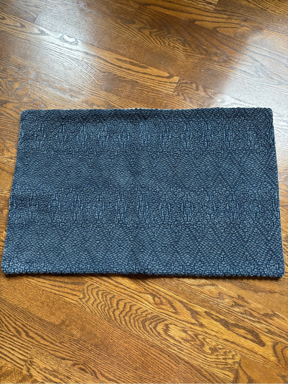 NWOT Pottery Barn lumbar pillow covers